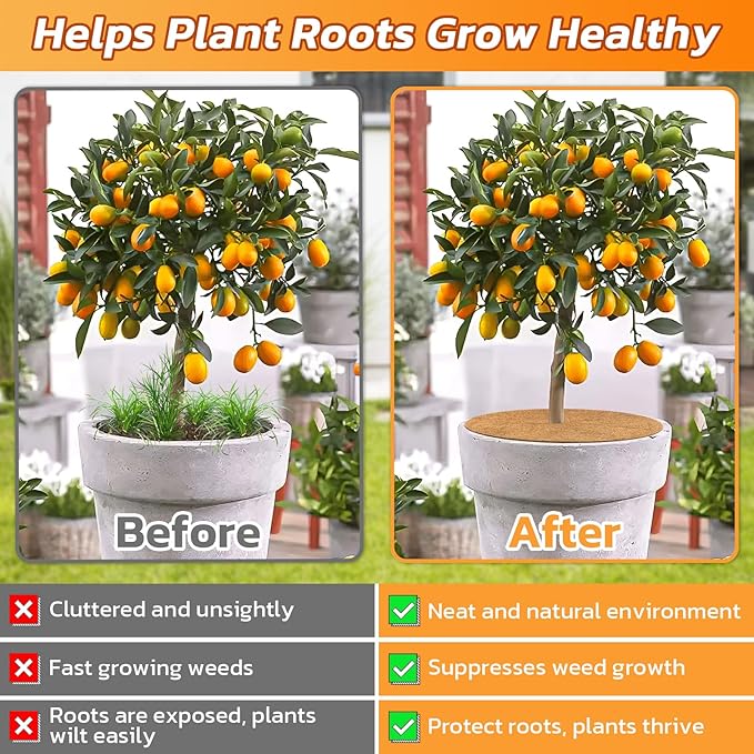 Legigo 4pcs Coconut Fiber Mulch Ring Tree Plant Protector Mat, 24 Inch Natural Coco Coir Tree Protection Ring Plant Pot Soil Cover, Tree Rings Disc Plant Cover for Indoor Outdoor Plants,Landscaping