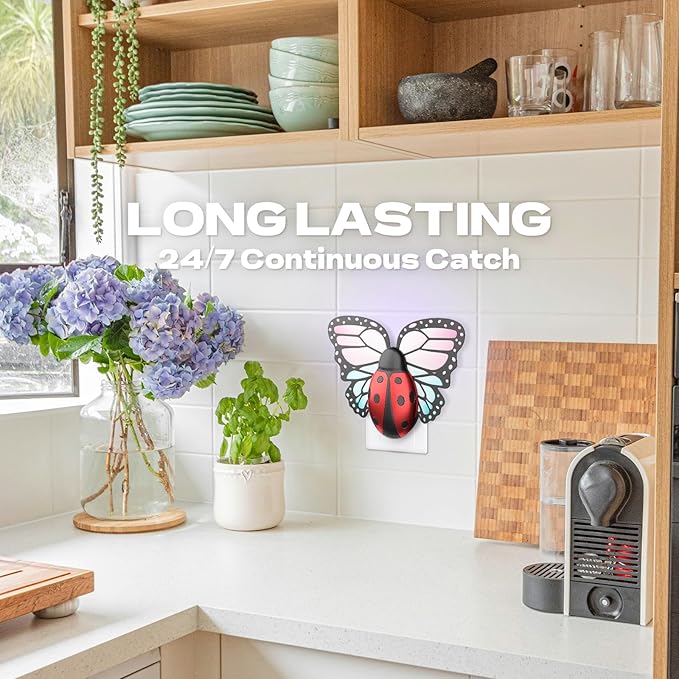 10 Pack Fly Trap Replacement Glue Card, Compatible with MWS-069 Flying Insect Trap Indoor, Effective Fruit Fly Traps for Indoors, Bug Traps for Home Use- No Plug in Fly Trap