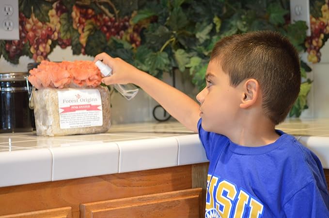 Pink Oyster Mushroom Grow Kit, Beginner Friendly & Easy to Use, Grows in 10 Days | Handmade in California, USA | Top Gardening Gift, Holiday Gift & Unique Gift