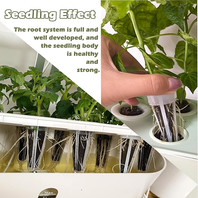 100 PCS Hydroponic Growing Kit Plant Seed Starter Pods Kit Replacement Grow Sponges Seed Suitable for Mushroom Grow Kit