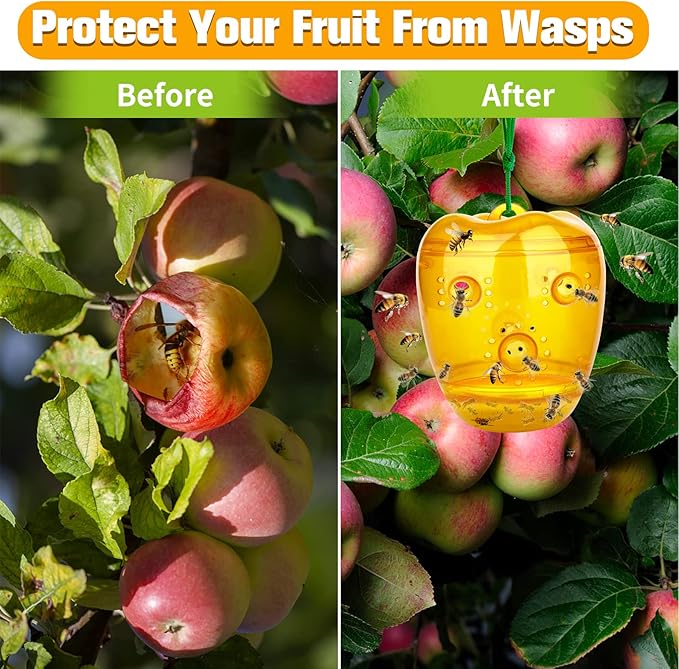 Wasp Trap, Yellow Jacket Trap Outdoor Hanging, Reusable Hornet and Wasp Catcher Traps for Outside, 2 Pack - Orange