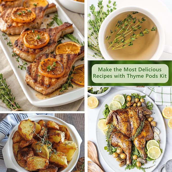 Thyme Seed Pods for All Hydroponics Growing Systems, 12 Pods Herb Kit with 1800+ Seeds of Thyme, Grow Your Own Herb Garden at Home