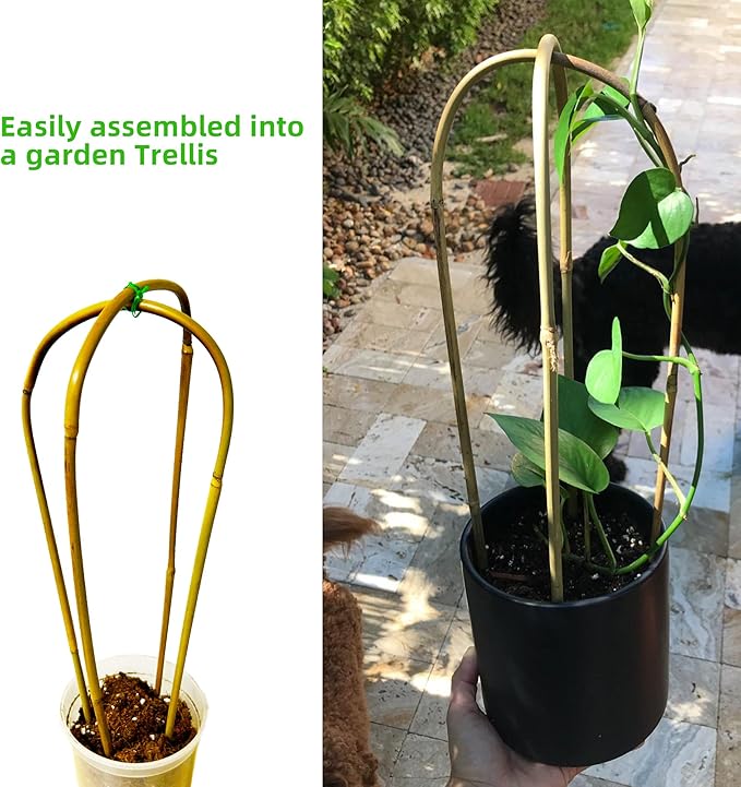 Avalution 16" Natural Bamboo Plants Trellis U-Hoop,Bamboo Gaeden Trellis U-Shape for Climbing Plant Support-20PCS