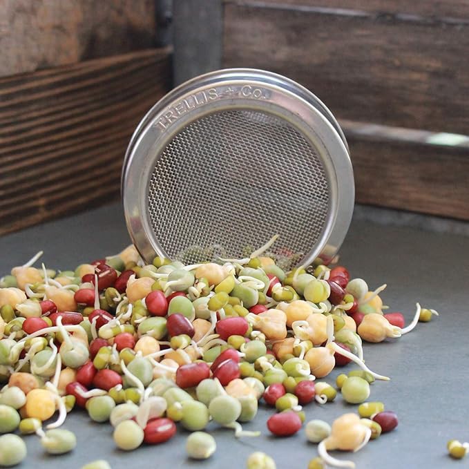 | Stainless Steel Sprouting Kit, 2 Pack | Rust Proof 316 Stainless, Curved Mesh, Fits Most Wide Mouth Mason Jars | Grow Your Own Organic Sprouts from Seeds, Sprouter