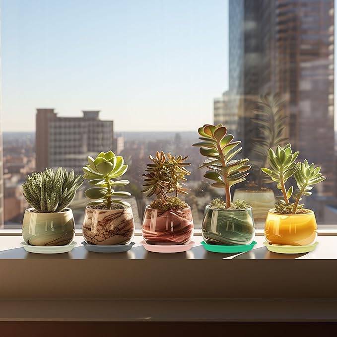 12Pcs Colourful Plant Saucer, 6 8 10 Inch Durable Plastic Plant Tray, Round Plant Pot Saucers, Drip Tray for Indoor and Outdoor Garden, Dark Gray