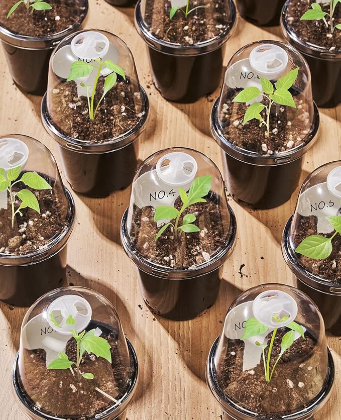 homenote Nursery Pots for Plants,3 Inch Plant Pot for Planting with Humidity Domes Plastic Seedling with Drainage Holes Seed Starter Flower with 10 Labels Black (30 Pack)