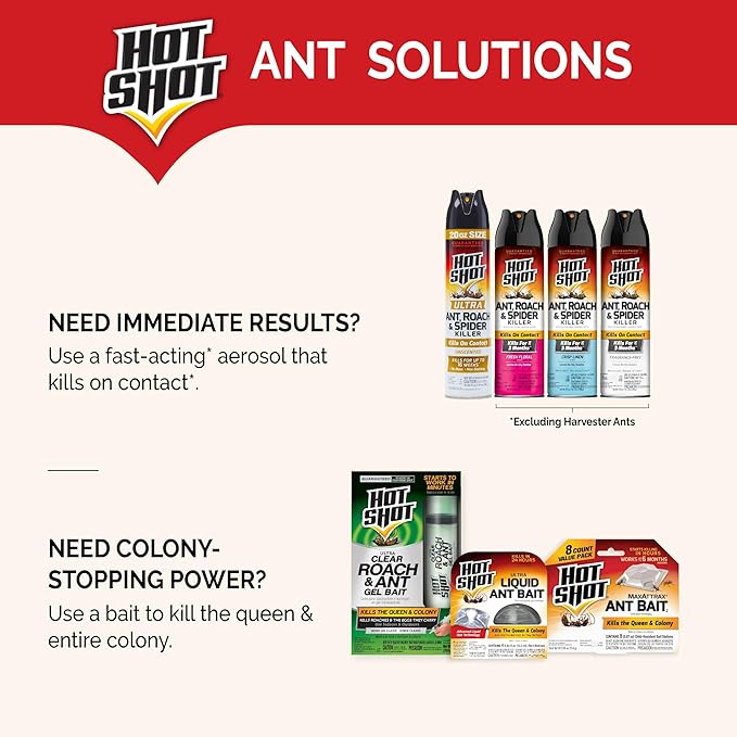 Hot Shot MaxAttrax Ant Bait 8 Count, Child-Resistant Bait Stations, 6 Pack