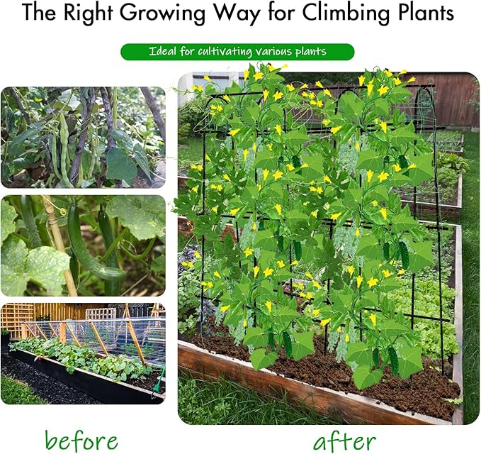 Cucumber Trellis for Raised Beds 70.8" L x 11.8" W x 70.8" H, Garden Trellis for Climbing Plants Outdoor, Black U-Shaped Large Metal+PE Coated Grow Support for Vines, Vegetables