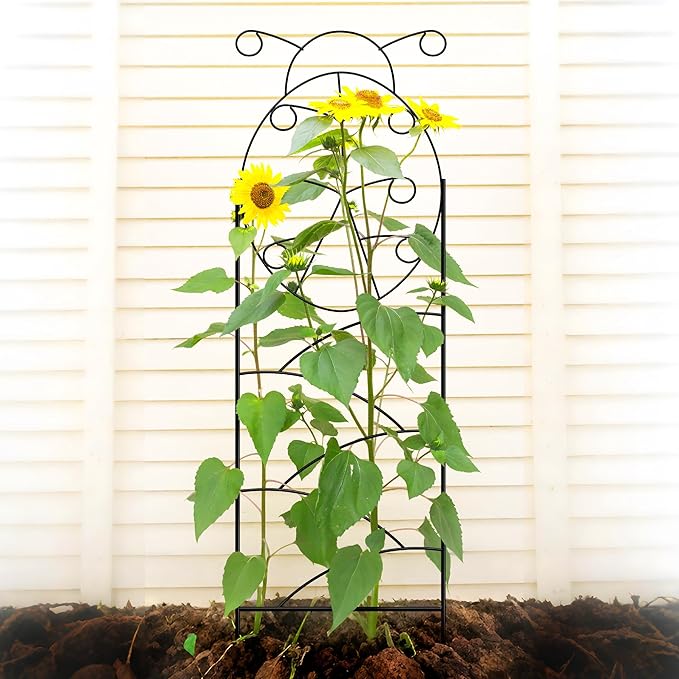 ARIFARO Garden Trellis 56″ H x16″ W (Pack of 4) Metal Climbing Plant Trellis Outdoor/Indoor Sturdy Flower Trellis for Climbing Vines, Rose, Potted Plants