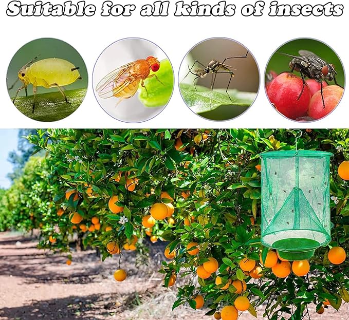 6 Pack Ranch Fly Trap, 2024 New Hanging Fly Catcher, The Most Effective Trap Ever Made with Pots, Cage Catcher for Indoor and Outdoor, Family Farms, Park, Restaurants