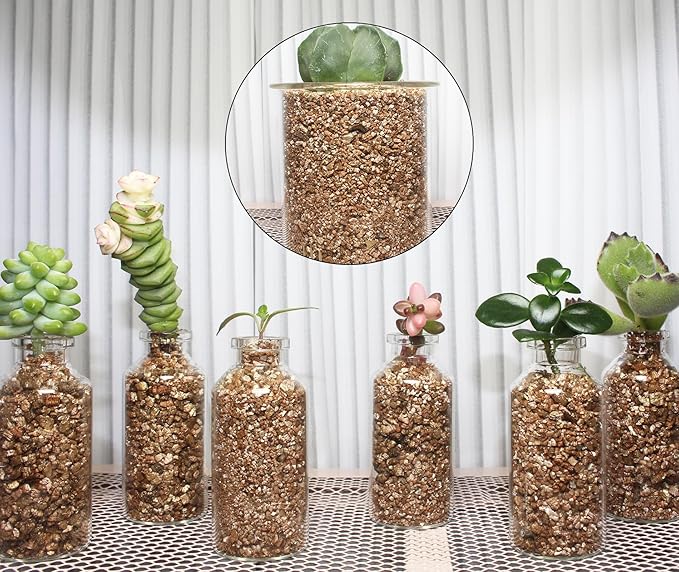 5QT Organic Vermiculite for Plants, Soil for Potted Plants, Coarse Hydroponic for Succulent Orchid Gardening Reptiles