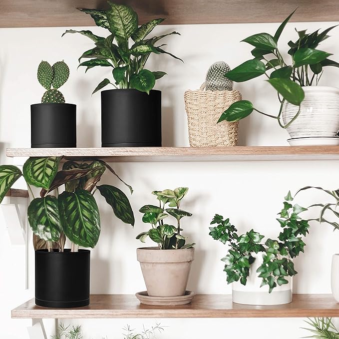 D'vine Dev 4 Inch 5 Inch 6 Inch, Set of 3 Plastic Planter Pots for Plants with Drainage Hole and Seamless Saucers, Black Color, Small, 74-V-B-1