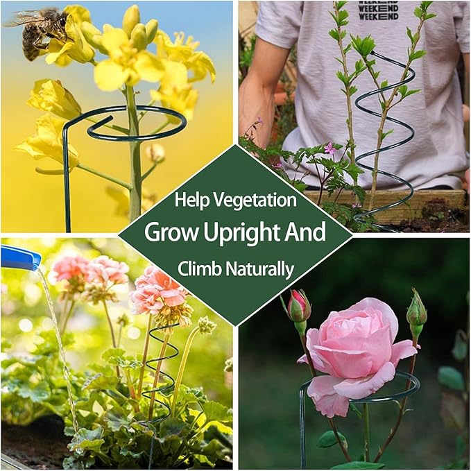15.75″ Spiral Tomato Plant Stake, Small Spiral Plant Support, Garden Twist Stick for Climbing Plants, Indoor/Outdoor Plant and Rose