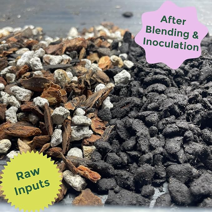 Cactus and Succulent Organic Potting Soil Mix for House Plants - Fast Draining, Root Boosting, Peat-Free, Less Prone to Gnats - Drought-Tolerant - Growth of Aloe Vera, Cacti and Indoor Succulents- 4qt