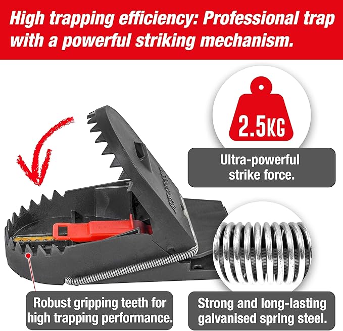 SWISSINNO Rat Trap PRO SuperCat - Reusable, Reliable and Effective - Powerful snap Trap for Rat Elimination Without False Catches, with Peanut Butter Bait - 2 Traps + 2 Bait Syringes