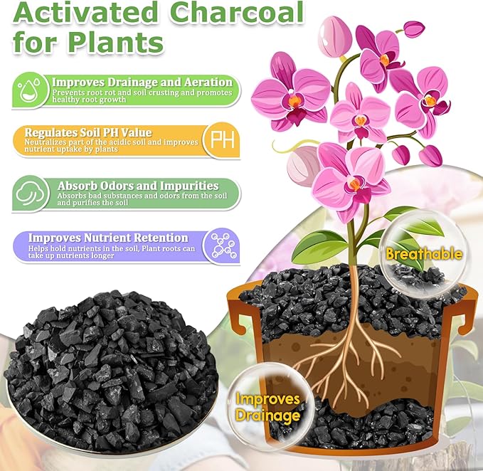 Legigo 2 QT Horticultural Charcoal- Activated Charcoal for Plants, Biochar Soil Amendment for Indoor Plants, Terrariums, Orchids Potting Mix and Gardening