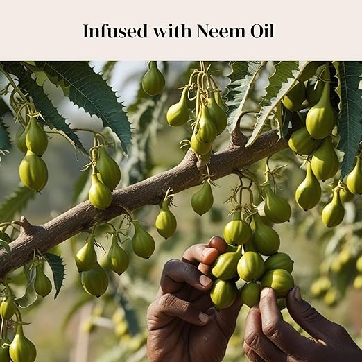 Plant Leaf Cleaner & Leaf Shine, Plant Cleaner | 2 Pack of 50 (Total 100 Count)