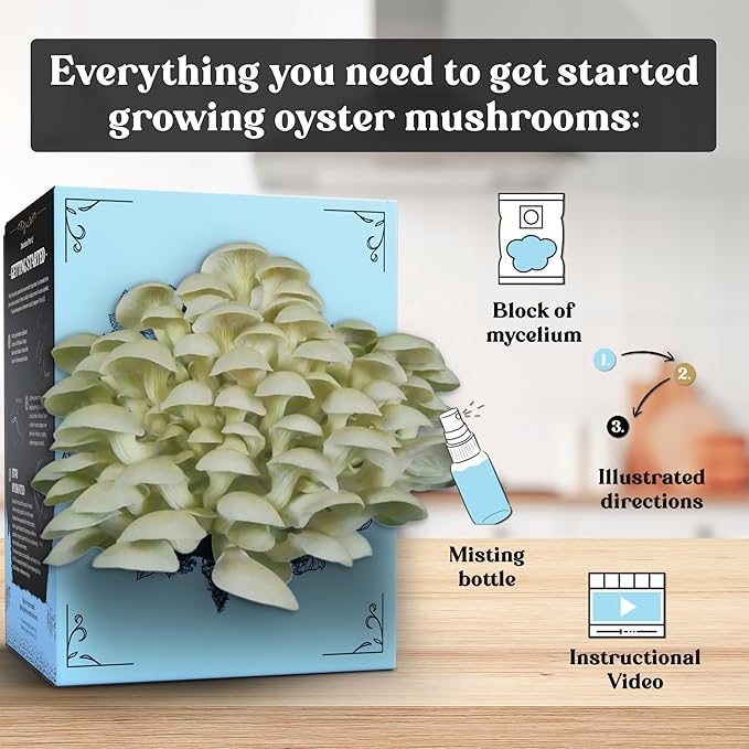 Oyster Mushroom Grow Kit | USDA Certified Organic | Grow Your Own Delicious Gourmet Mushrooms at Home