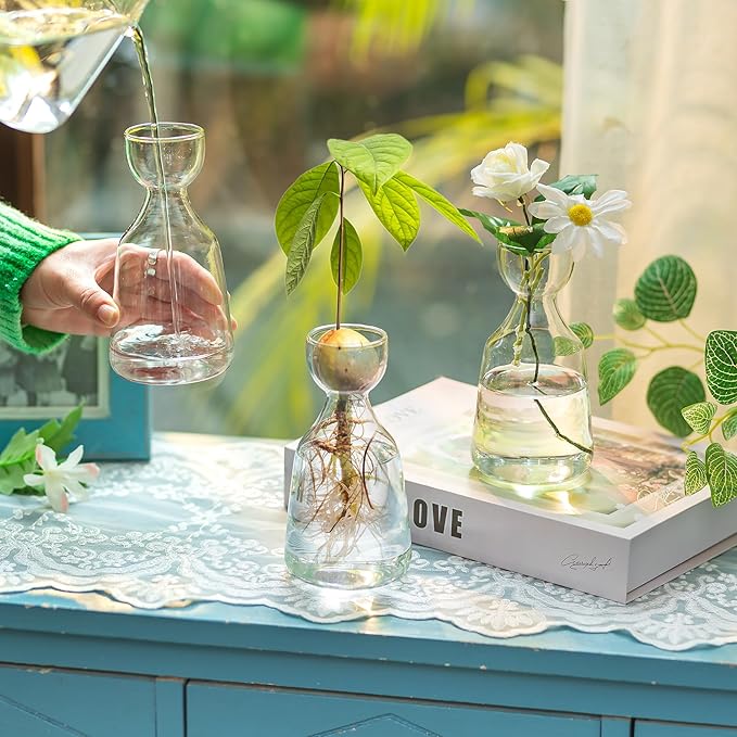 Glasseam Glass Avocado Vase: Acorn Vase for Bulb Growing Set of 3 Clear Small Bud Vases for Home Decor Hydroponic Plant Propagation Jar for Flowers Stems Clippings