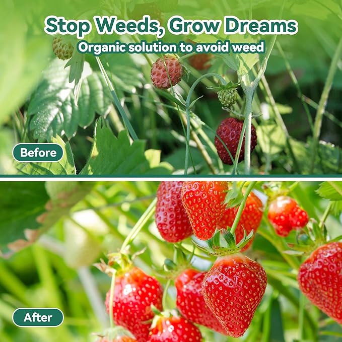 3ftx250ft Landscape Fabric, Weed Barrier Fabric Heavy Duty 3.2oz, Woven Geotextile Weed Blocker Landscaping Fabric, Ground Cover Weed Control Mat, Commercial Weed Cloth Garden Bed Liner