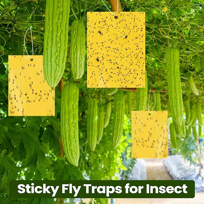 Qualirey 700 Pcs 6 x 8 Inch Yellow Sticky Traps for Plant Double Sided Sticky Trap for Gnats with Twist Ties Sticky Fly Traps for Fruit Insect Fungus Bugs Indoor Outdoor