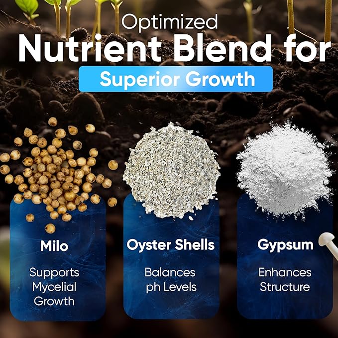 Surfin' Spores Mushroom Growing Grain Jars, Sterilized Hydrated Grain Spawn | 32 oz Glass Jars w/Self-Healing Injection Ports & Filter | Milo, Oyster Shell, & Gypsum Blend | 1 lb Per Jar (Four Pack)