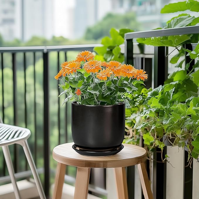 Ceramic Planter 7 Inch - Cylinder Round Modern Indoor Plant Pot for Plants with Drainage Hole and Saucer, Room Home Patio Office Patio Decor, Black