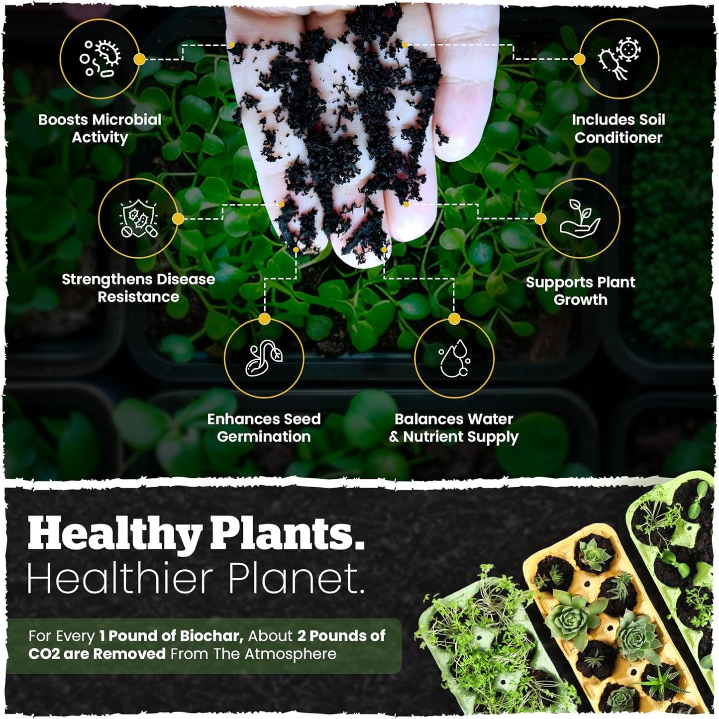 Wakefield Biochar Blend with CarbonBoost™ Technology – Enhanced Water & Nutrient Retention for Raised Bed Garden Soil - Ultimate Organic Potting Soil Mix for Vegetables, Gardens and Houseplants - 4qt