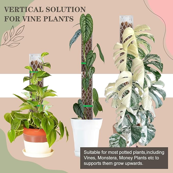 Sisher 16 Inch 6Pcs Plastic Moss Pole for Plants Monstera,Stackable D Shape Moss Pole for Indoor Climbing Plants with 2pcs Garden Ties Work with Sphagnum Moss