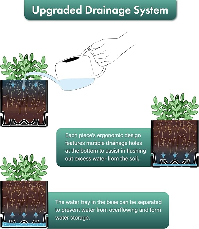 Phoenix Vine 6 Inch and 8 Inch Planter Pot with Drainage Hole & Deep Water Catch Tray Saucer, Straight Cylindrical Round Pot for Plants, Matte Black, 23-A-2-Y