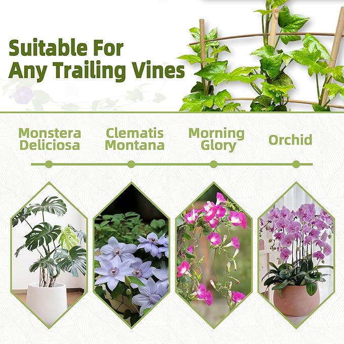 20 Pack 16" Bamboo Trellis for Climbing Plants-Natural Garden Ladder Fan -Shaped Plants Support Trellis for Potted Plant Decor in Door