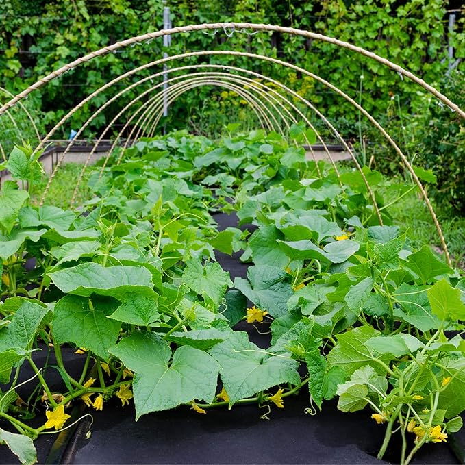 4ft x 50ft Garden Weed Barrier Landscape Fabric, Durable & Heavy Duty Ground Cover Weed Blocker Fabric Gardening Mat, Superior Weed Control for Vegetable Garden, Flower Bed, Mulch