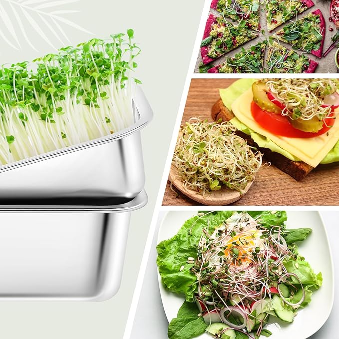 Vesici 4 Pack Sprouting Tray Kit, Stainless Steel Soil Free Cultivation Germination Tray, Wheatgrass Growing Container, Seed Sprouting Container Kit for Indoors Plant Seed Beans Broccoli Arugula