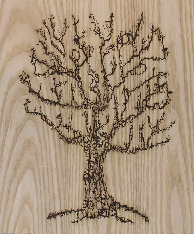 Lichtenberg Machine 10kV 30mA Neon Sign Transformer Fractal Wood Burning Machine Burner Device Neon Power Supply for Real Glass Neon Not Led High Voltage 10000V