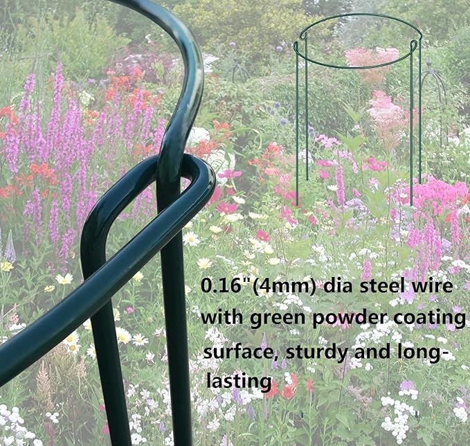 6 Pack 24 Inch High Plant Stake,Garden Plant Support,Half-Round Peony Cage Plant Ring Hoop