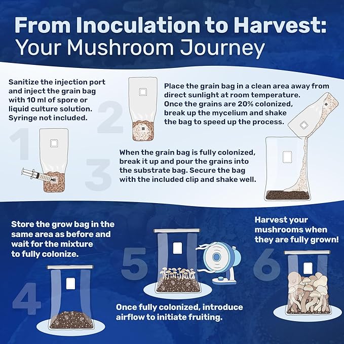 Surfin' Spores All-in-One Mushroom Grow Kit | 6 lb Grow-in-Bag Kit/Monotub Refill | Includes: 2 lb Sterile Grain Bag with Injection Port & 4 lb Organic CVG Substrate | Spores Not Included