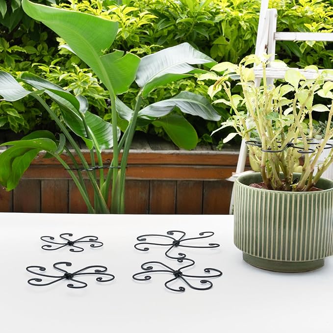 Monstera Plant Support Hook - 4.1x4.1IN 5PCS, Durable Adjustable Stem Support System, Gentle Protection for Monstera and Fishbone Cactus, Professional Indoor Plant Stabilizer