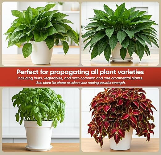 Hormex Rooting Powder #1 (0.10 IBA) - Rooting Hormone for Delicate Houseplants, Garden Herbs & Succulent Cuttings - Plant Root Stimulator for Cloning - Strong Roots for Maximum Propagation Success