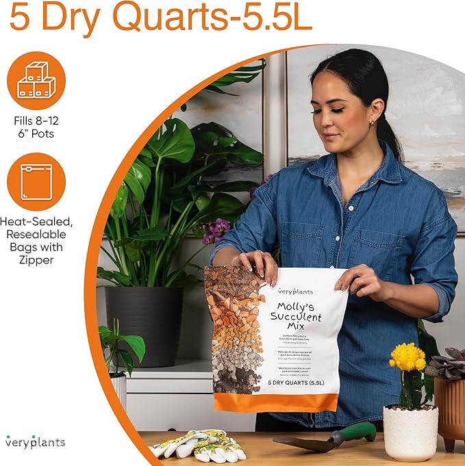 Molly's Succulent Mix - Premium Gritty Soilless Potting Mix for Succulents, Cactus and Bonsai - Contains Akadama, Hyuga, Bark Fines, Pumice, Lava Rock, Mycorrhizae 3 Dry Quarts