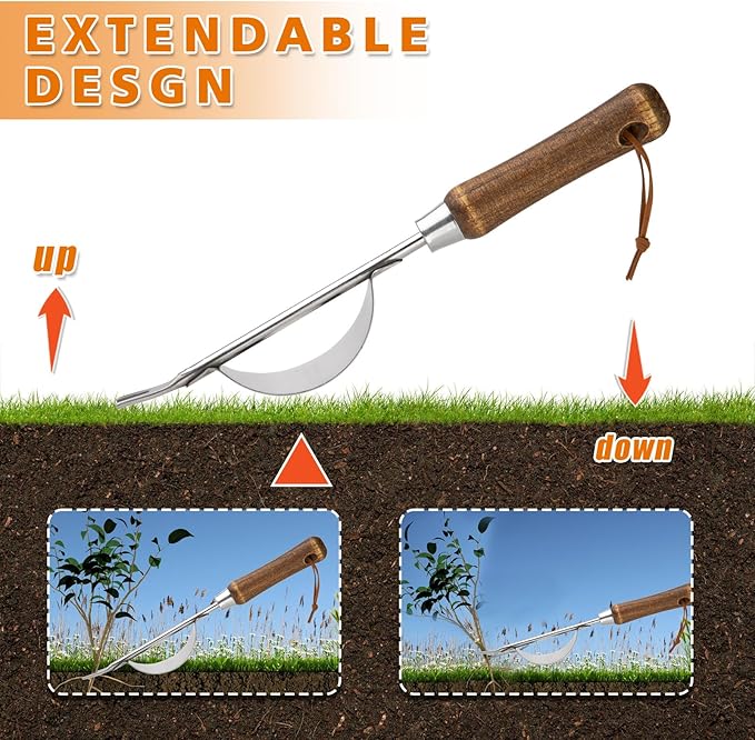 Garden Crevice Weeding Tool Wood Handle Driveway & Sidewalks