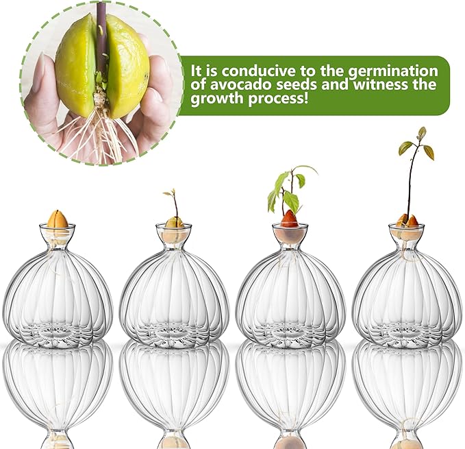 Avocado Seed Starter Vase,Thickened Striped Avocado Seed Sprout Glass Container, Avocado Tree Planting Growing Kit with Avocado Sticker for Plant Gardening Lover (Striped)