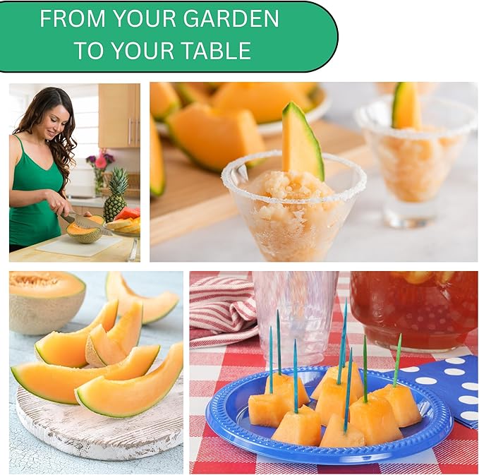 Hearts of Gold Cantaloupe Melon Seeds for Planting - Over 90 Heirloom Non-GMO Cantaloupe Seeds for Planting - Beginner Friendly Fruit Seeds for Home Gardening