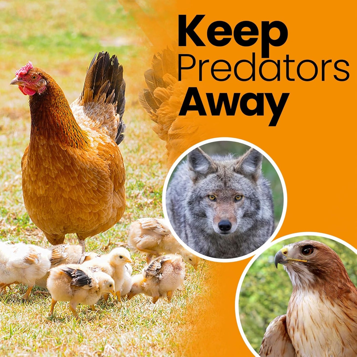 Heavy Duty Bird Netting for Chicken Coops & Runs | Tree & Garden Netting Mesh 1-1/2" | Keep Hawks, Birds & Predators Away | Bird Netting for Blueberry Bushes, Vegetables & Fruit (25' x 25’)