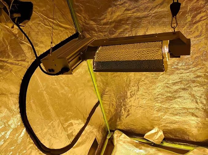 Grow Light Bulbs DE HPS 1000W Full Spectrum Double Ended High Pressure Sodium for Indoor Plant Growth lamp High PAR CCT 2100K 4 Pack