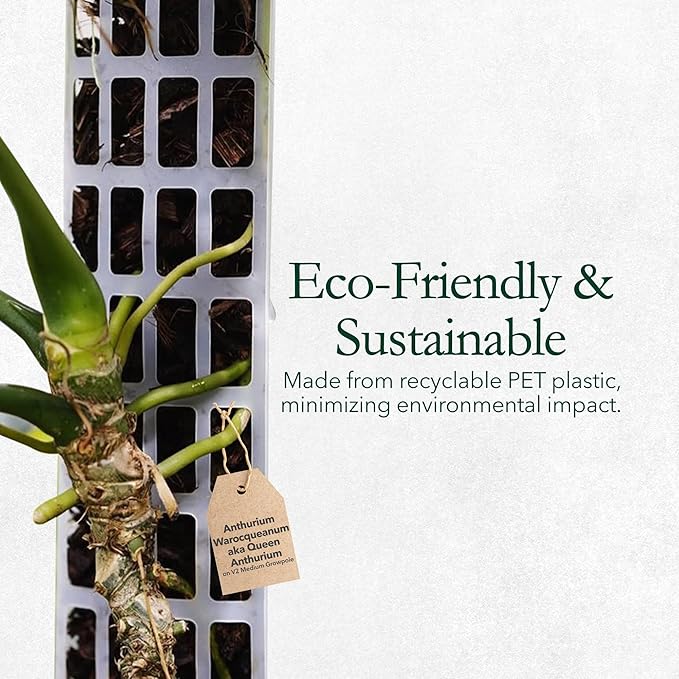 V2 Medium GrowPole - Stackable Plastic Moss Poles for Climbing Plants, Monstera Plant Support-Plant Climbing Pole, DIY Plant Sticks Support. Works for Philodendron and Anthuriums - 5 Pcs