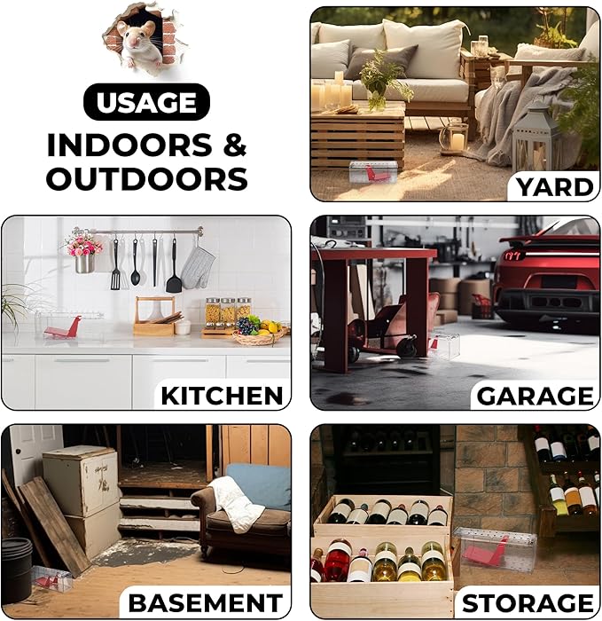 Humane Mouse Trap Pack of 4 - No Kill - Live Mouse Traps Indoor for Home Use - Reusable Rodent Traps for House Indoor, Safe & Effective Rat Trap Outdoor - Humane Mice Control with Cleaning Brush