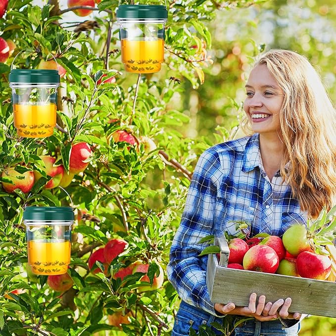 Qualirey 6 Pcs Wasp Traps for Outdoors Wasp Killer Hanging Bee Traps Reusable Fly Bee Killer for Indoor Outdoor Patio Garden Home (Green)