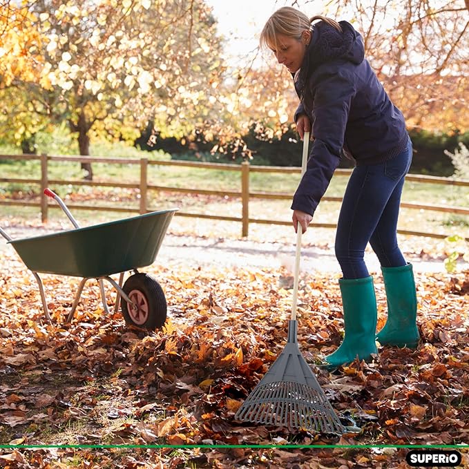 Superio Adult Rake with Hardwood Handle, Durable Plastic Head to Sweep Leaves in Lawn and Tidying Up The Garden, 61"