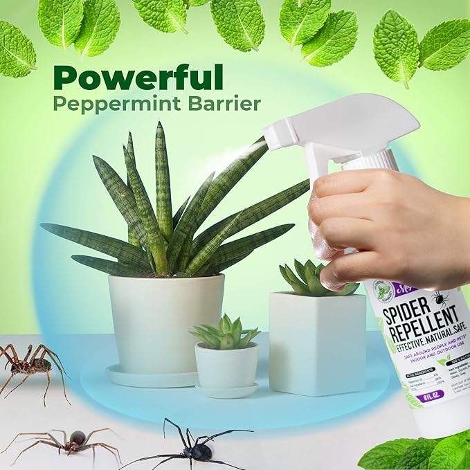 Mighty Mint 8oz Spider Repellent Peppermint Oil - Natural Spray for Spiders, Insects and More - (2-Pack)