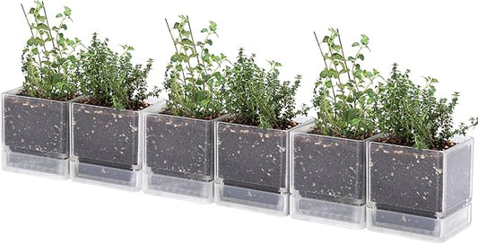 4 Inch Herb Planter Pot, Plastic Planter with Drainage Holes and Saucer, Modern Decorative Gardening Pot for Indoor Plants, Flowers, Herbs, Succulents, Clear, Set of 6, 76-Y-D-6